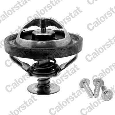 Thermostat, coolant